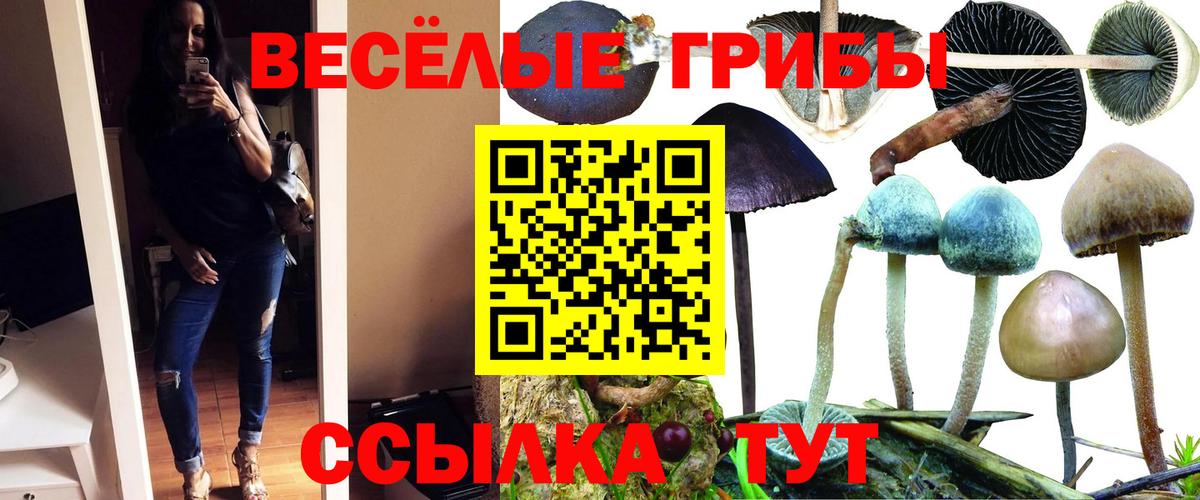 Чапаевск  Псилоцибиновые грибы GOLDEN TEACHER  Галлюциногенные грибы Cubensis  Вход с VPN 